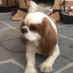 Meet your Posher, Linda